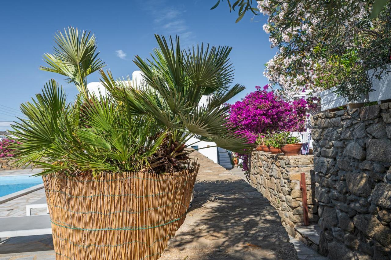 Casa Cozy Vila Mykonos Town Exterior foto