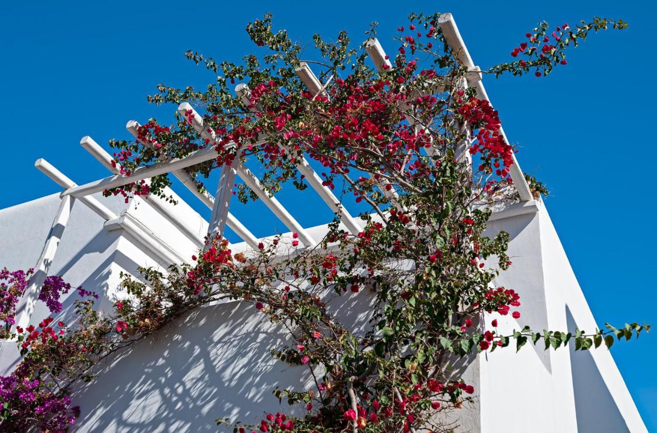 Casa Cozy Vila Mykonos Town Exterior foto